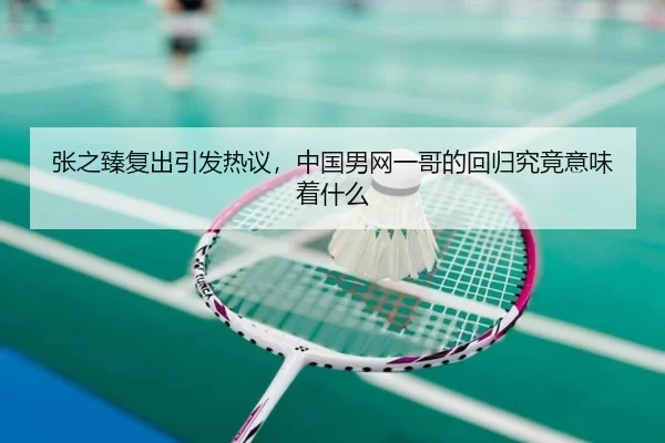 zhang-zhi-zhen-fu-chu-yin-fa-re-yi-zhong-guo-nan-wang-yi-ge-de-hui-gui-jiu-jing-yi-wei-zhe-shen-me-2-110.jpg
